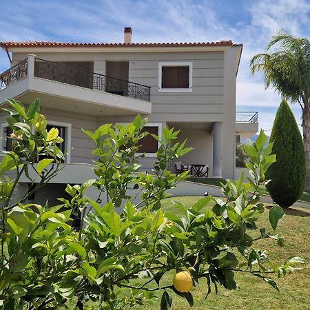 Dimitris Villa Aigio Bagian luar foto