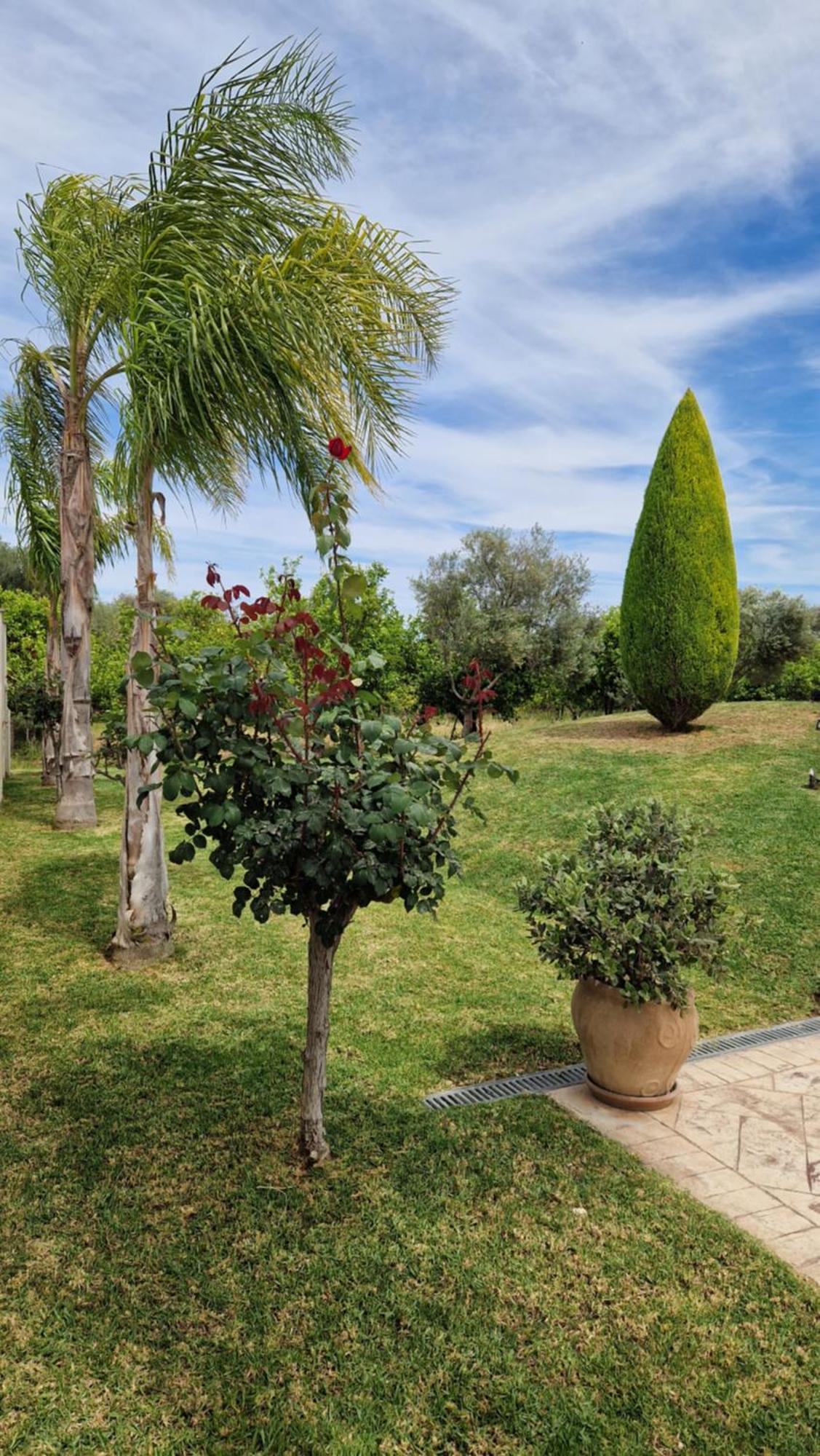 Dimitris Villa Aigio Bagian luar foto