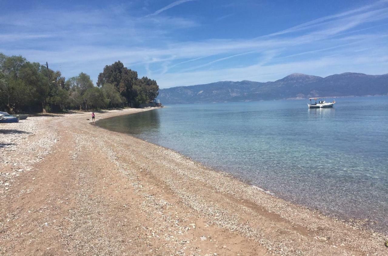 Dimitris Villa Aigio Bagian luar foto